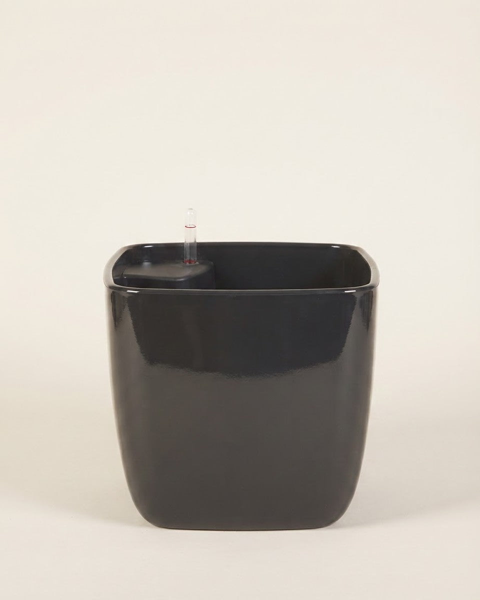 Leizisure Square Black 31*31