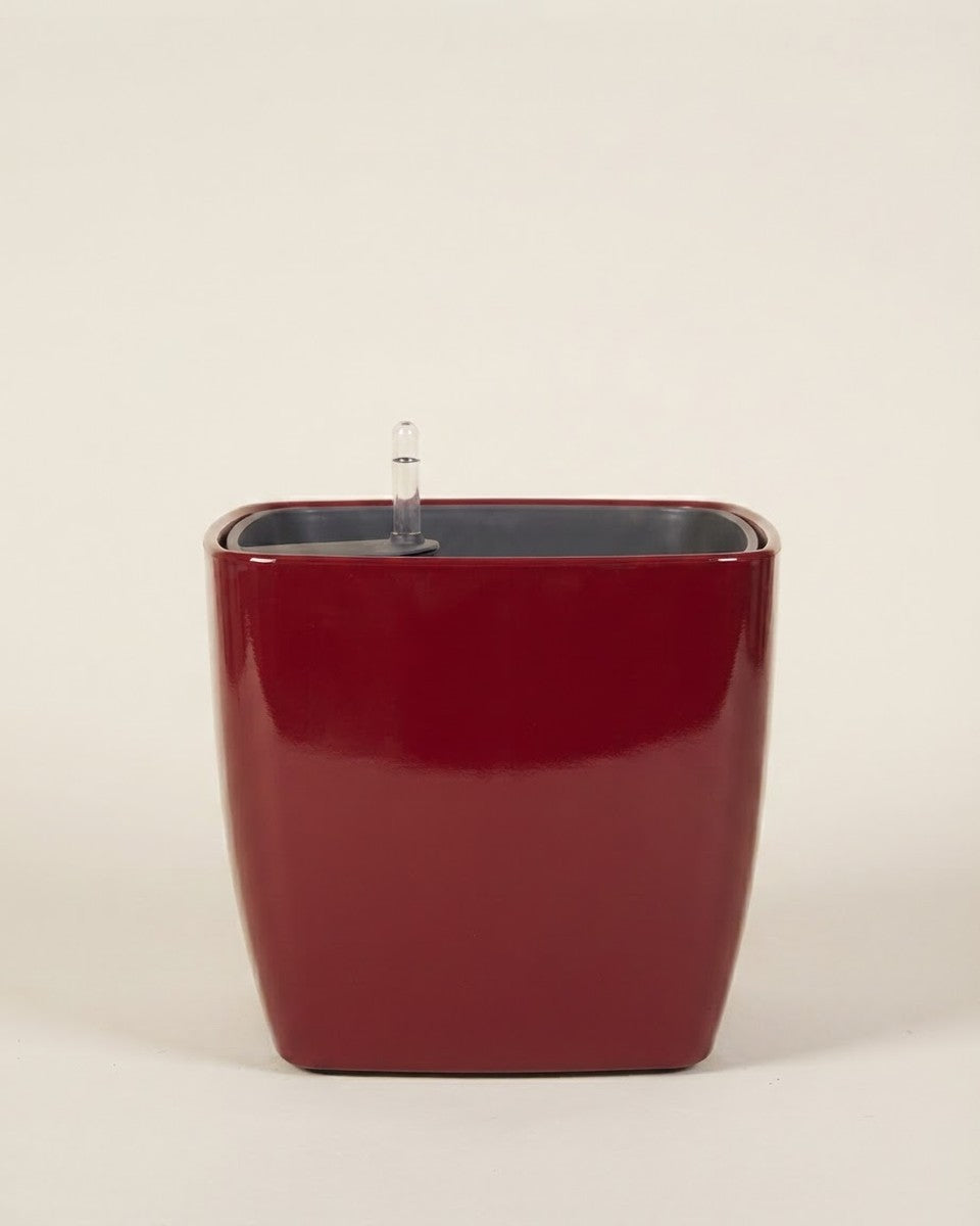 Leizisure Square Red 37*36
