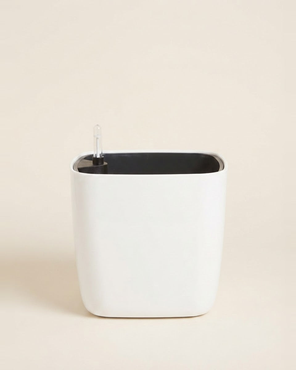 Leizisure Square White 31*31