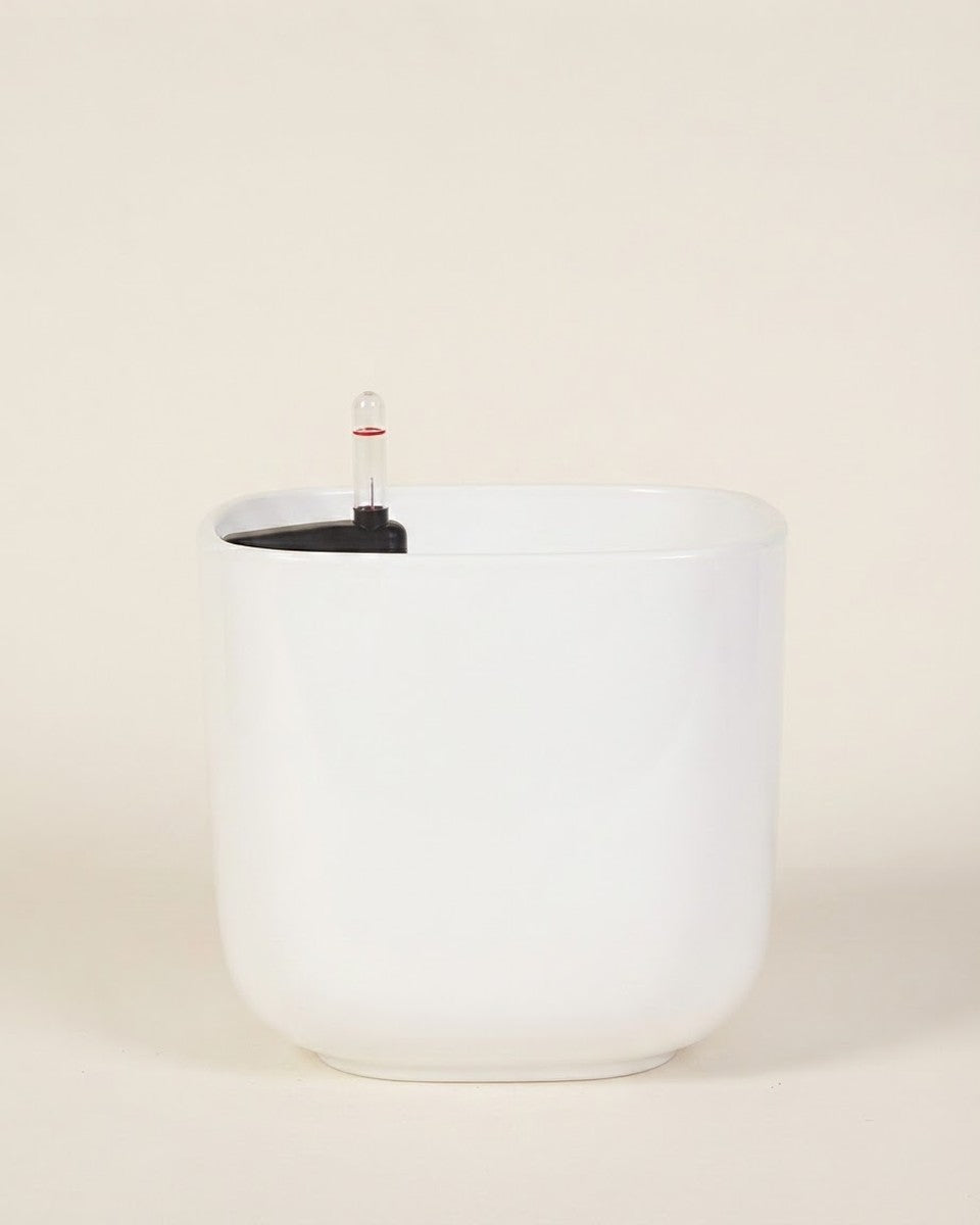 Leizisure Square White 45*42