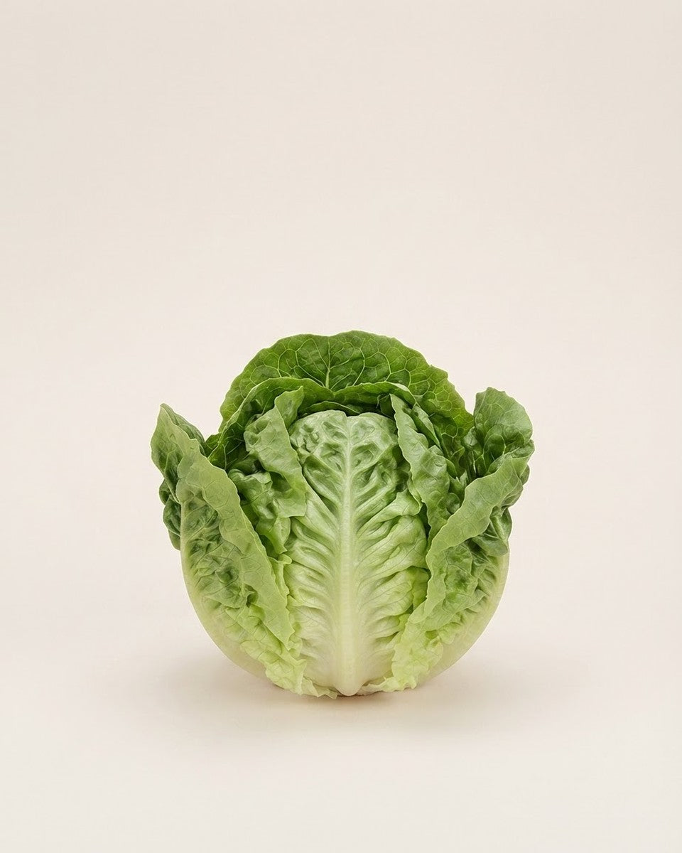 Lettuce Romaine Little Caesar