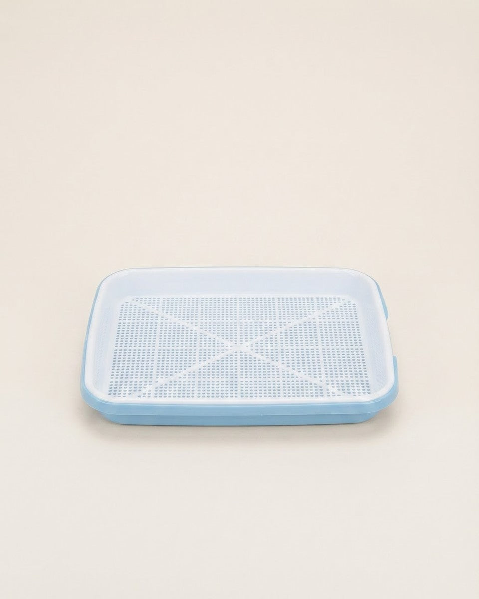 Light Blue Growing Basket