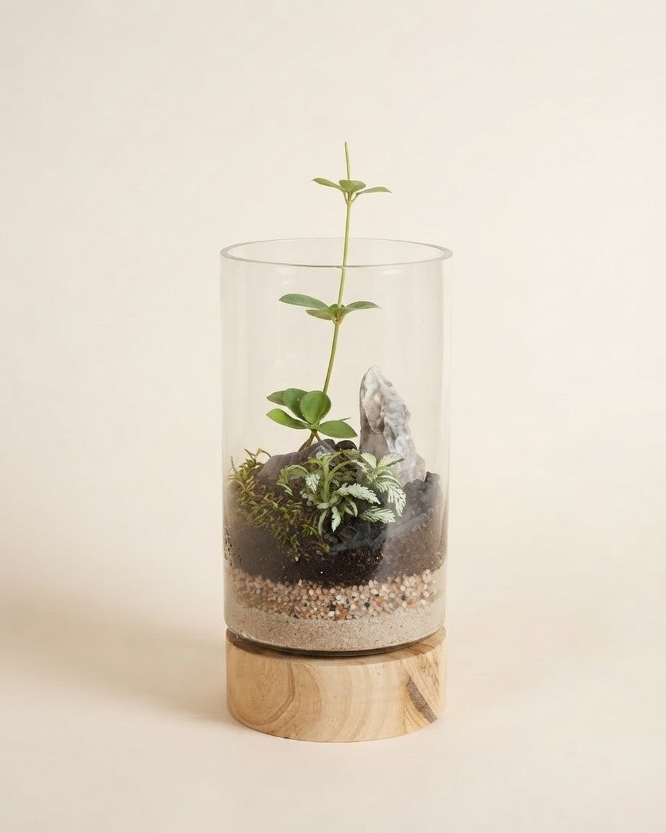 Light Wood Cylinder Mini Garden
