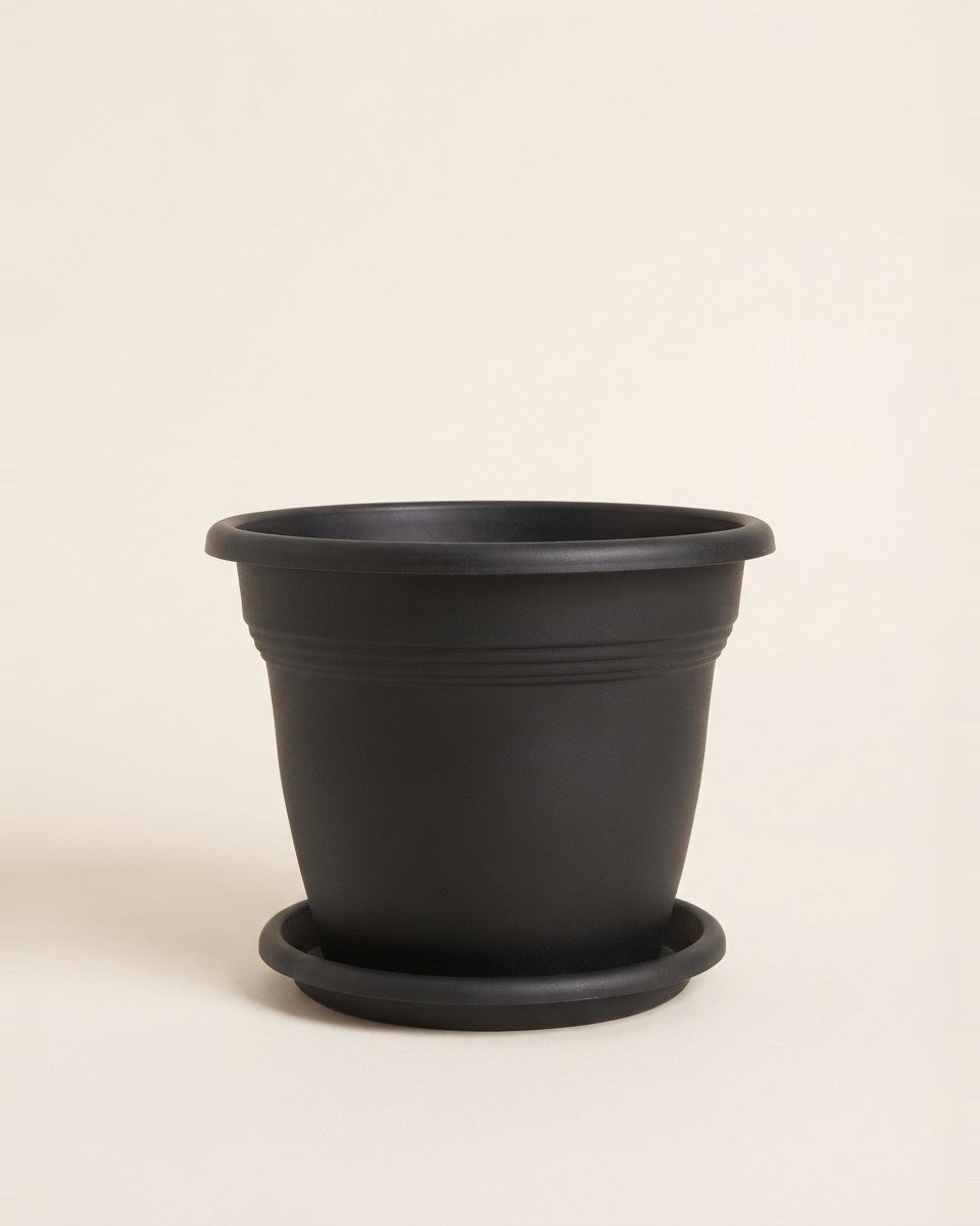Line Shape Pot Black