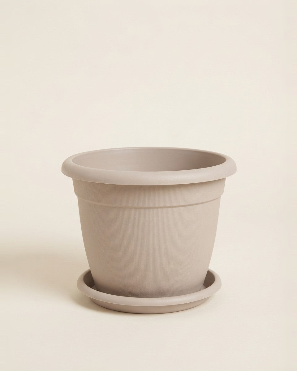 Line Shape Pot Cappuccino Color