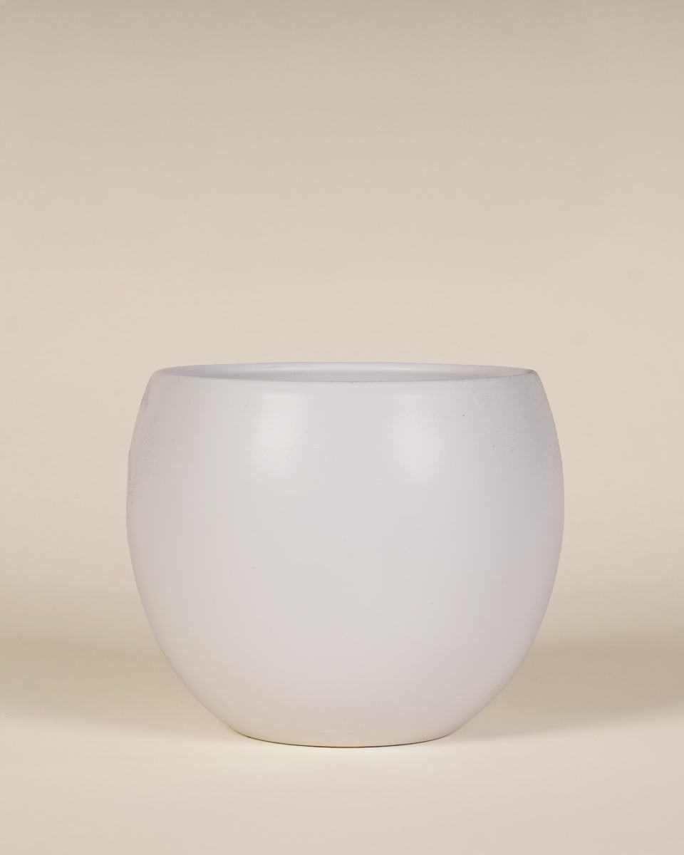 Ceramic Pot - Lisa White Matte (12cm)
