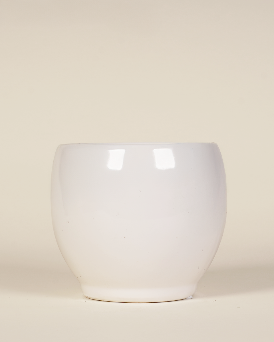 Ceramic Pot - Lisa White (12 cm)