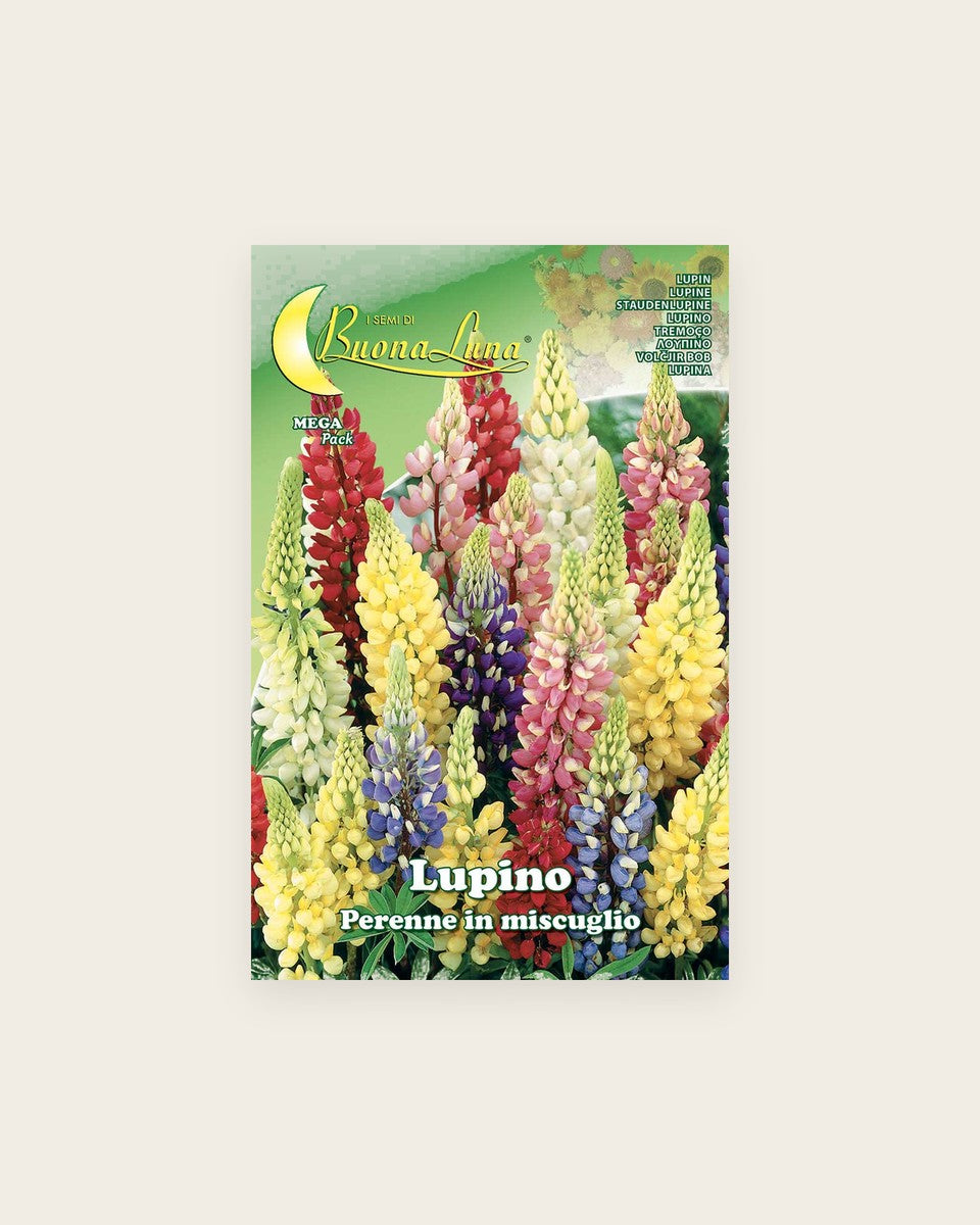 Lupino