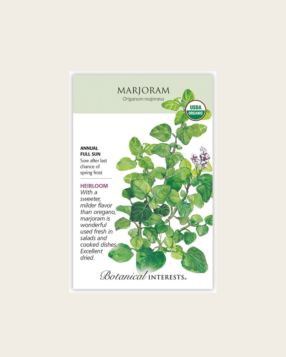 Marjoram Seeds – Organic, Heirloom