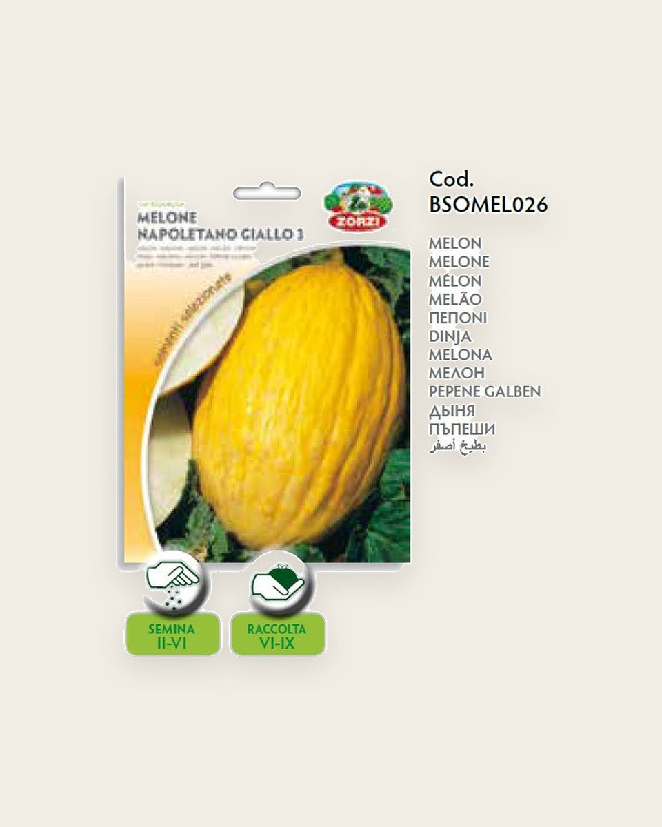 Melon Napoletano Giallo Seeds