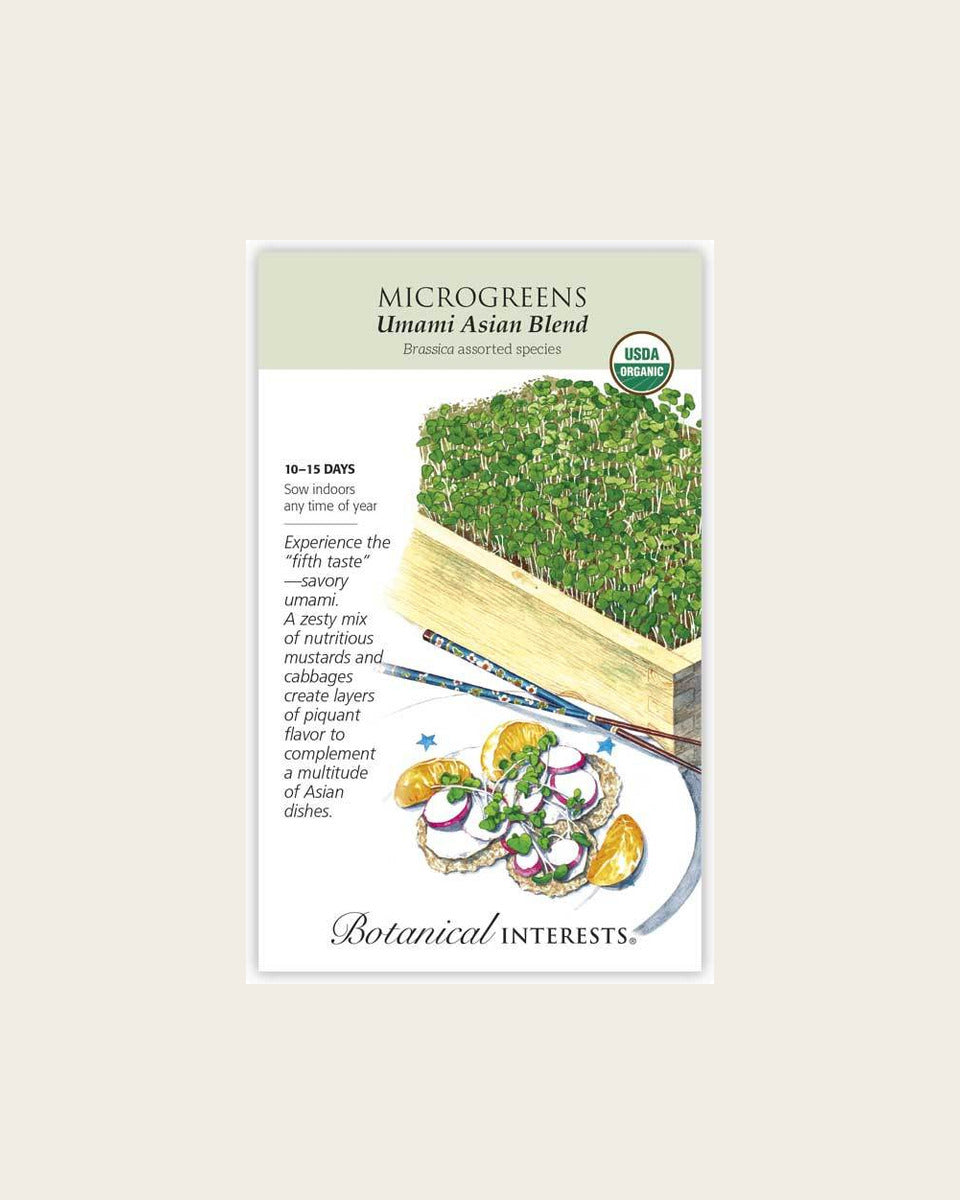Microgreens, Umami Asian Blend Microgreens Seeds – Organic