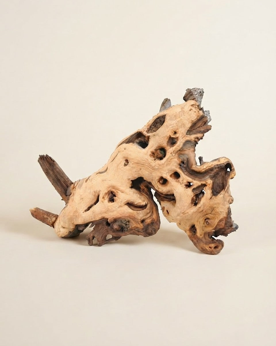 Mopani Wood – Medium خشب موباني – متوسط