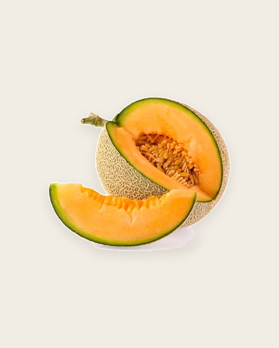 Musk Melon Golden (Orange Flesh) Seeds بذور الشمام برتقال