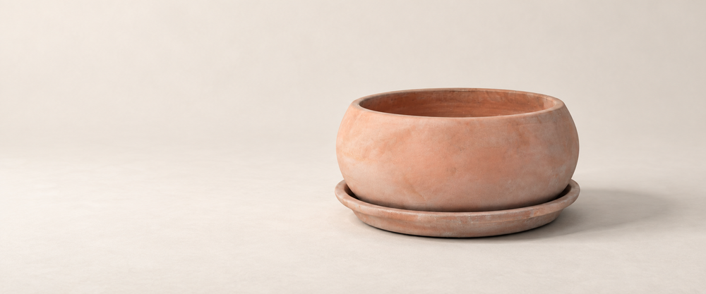 Large rounded terracotta planter and matching saucer in a pale beige studio