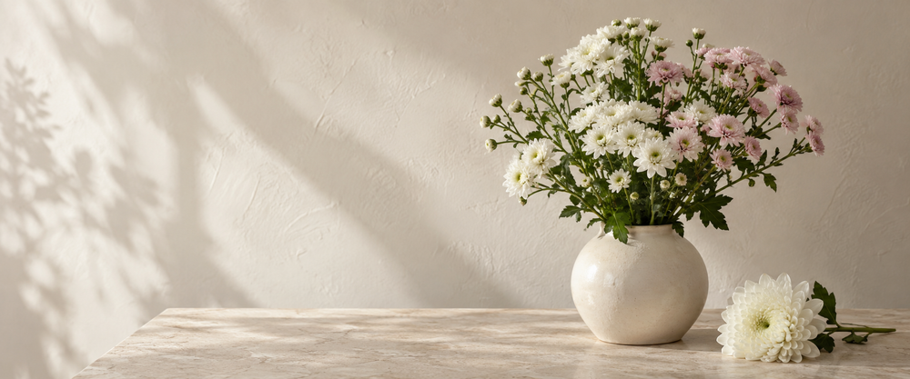 chrysanthemums cut flowers in warm natural sunlight