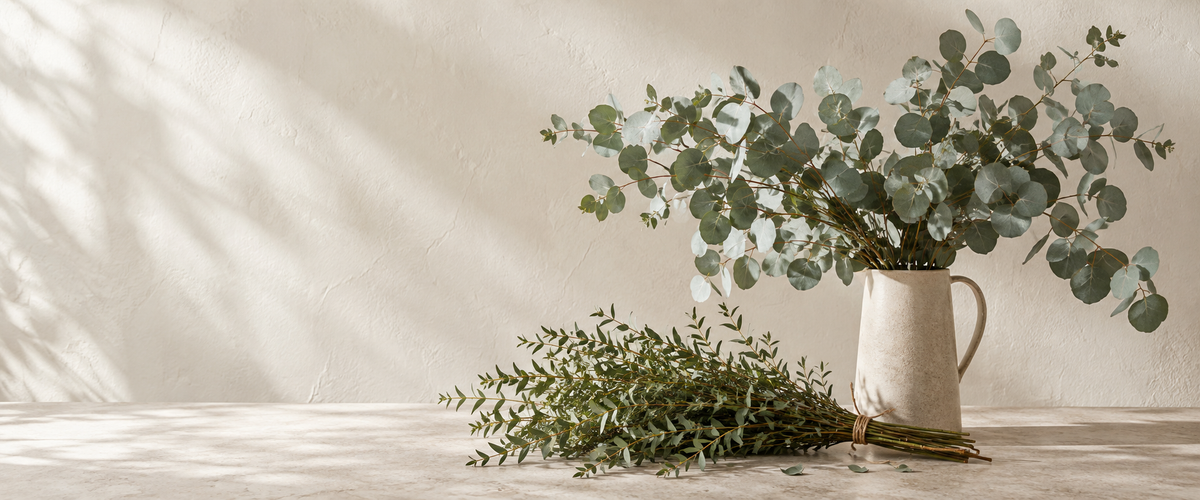 Eucalyptus