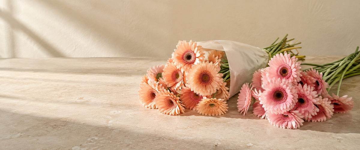 Gerberas