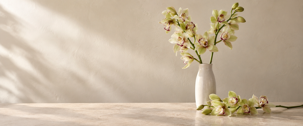 Orchids in a warm sunlit indoor scene