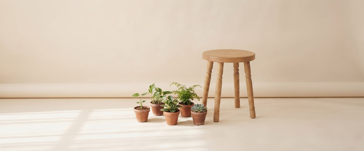 Baby plants