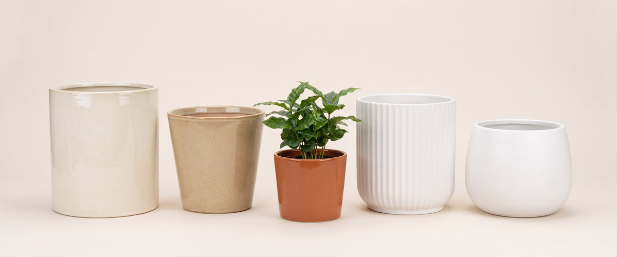Ceramic Pots