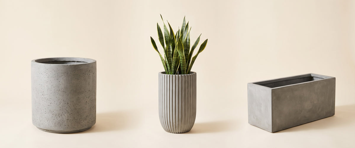 Concrete & Stone Planters