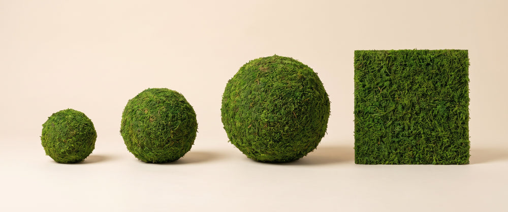 Moss banner