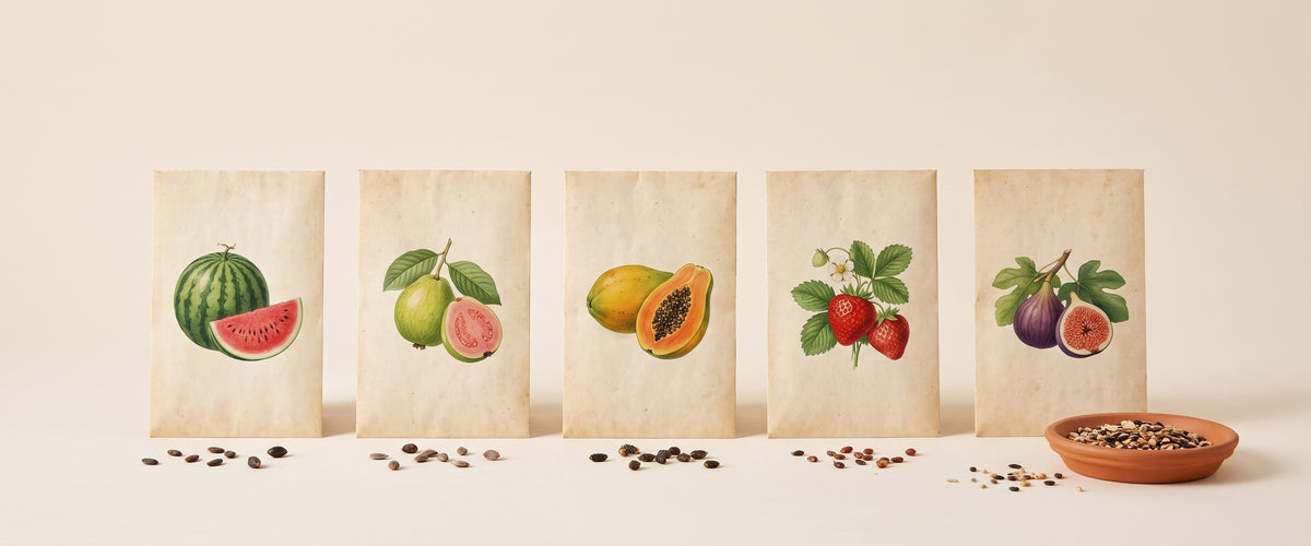 Fruit Seeds