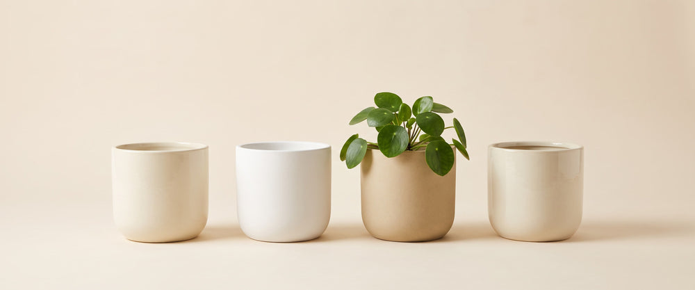 Indoor Pots (no drainage hole) banner