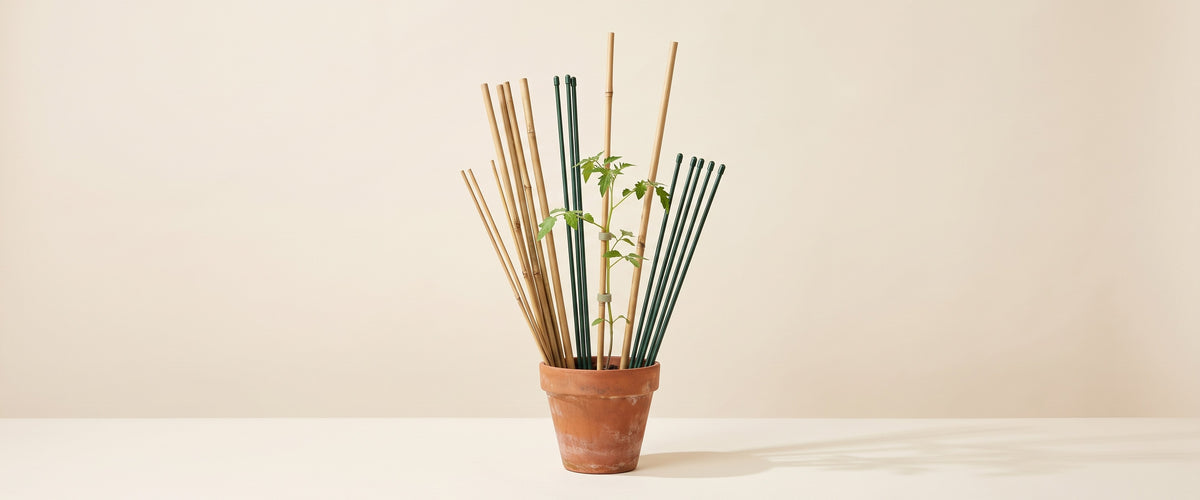 Plant stakes