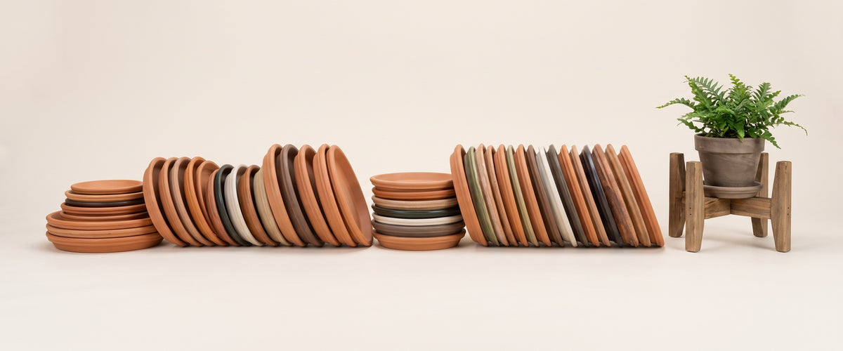 Saucers, Trays & Pot Stands