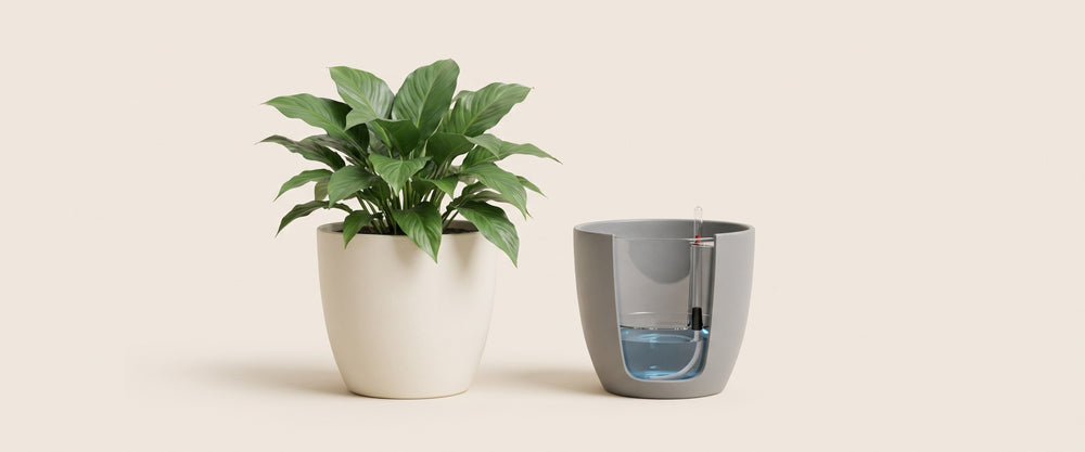 Self-Watering Pots banner