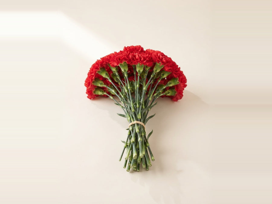 Carnations
