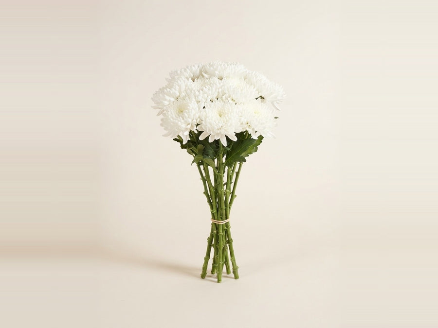 Chrysanthemums