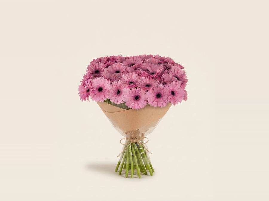 Gerberas
