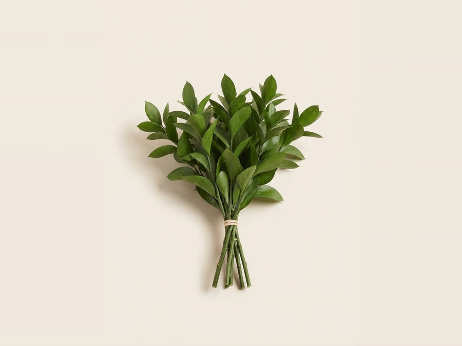 Greenery & foliage