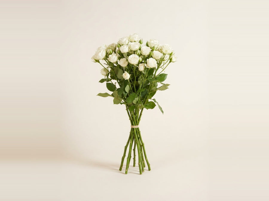 New in flowers
