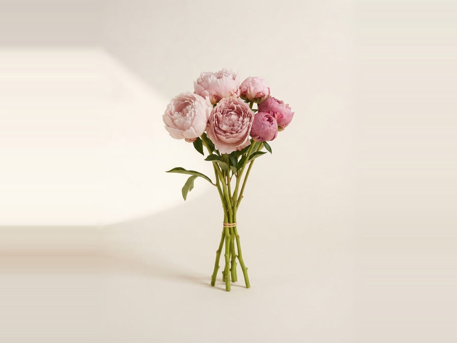 Peonies