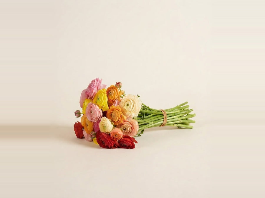 Seasonal & specialty