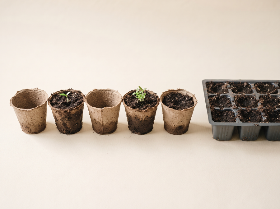 Grow cups & seedling starters