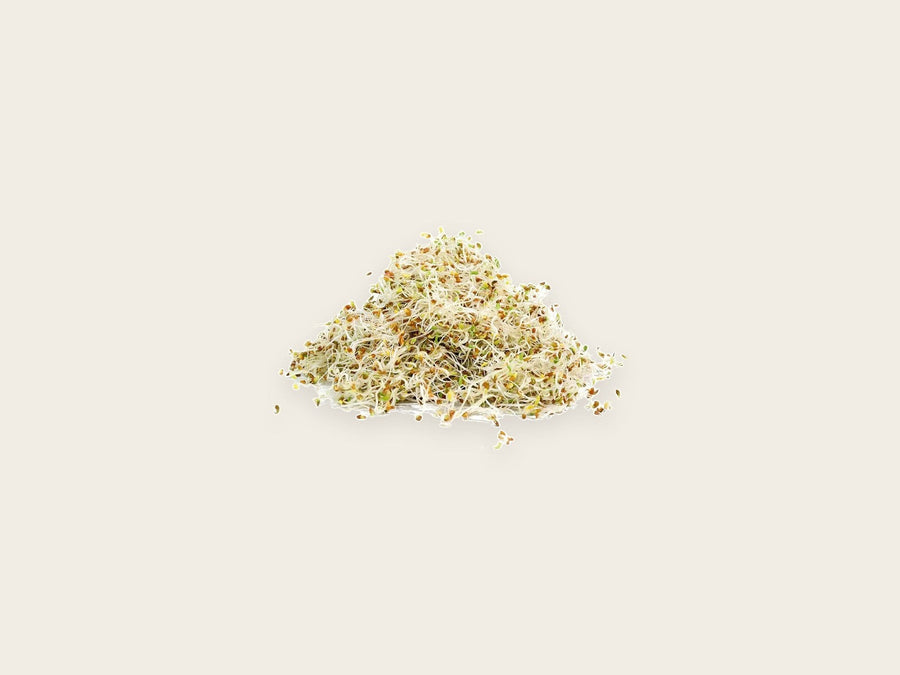 Microgreens & sprouting