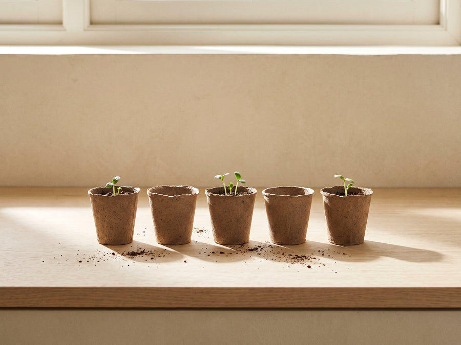 Grow cups & seedling starters
