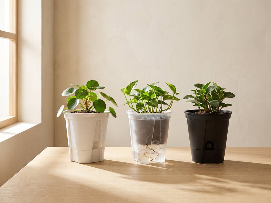 Plant irrigators