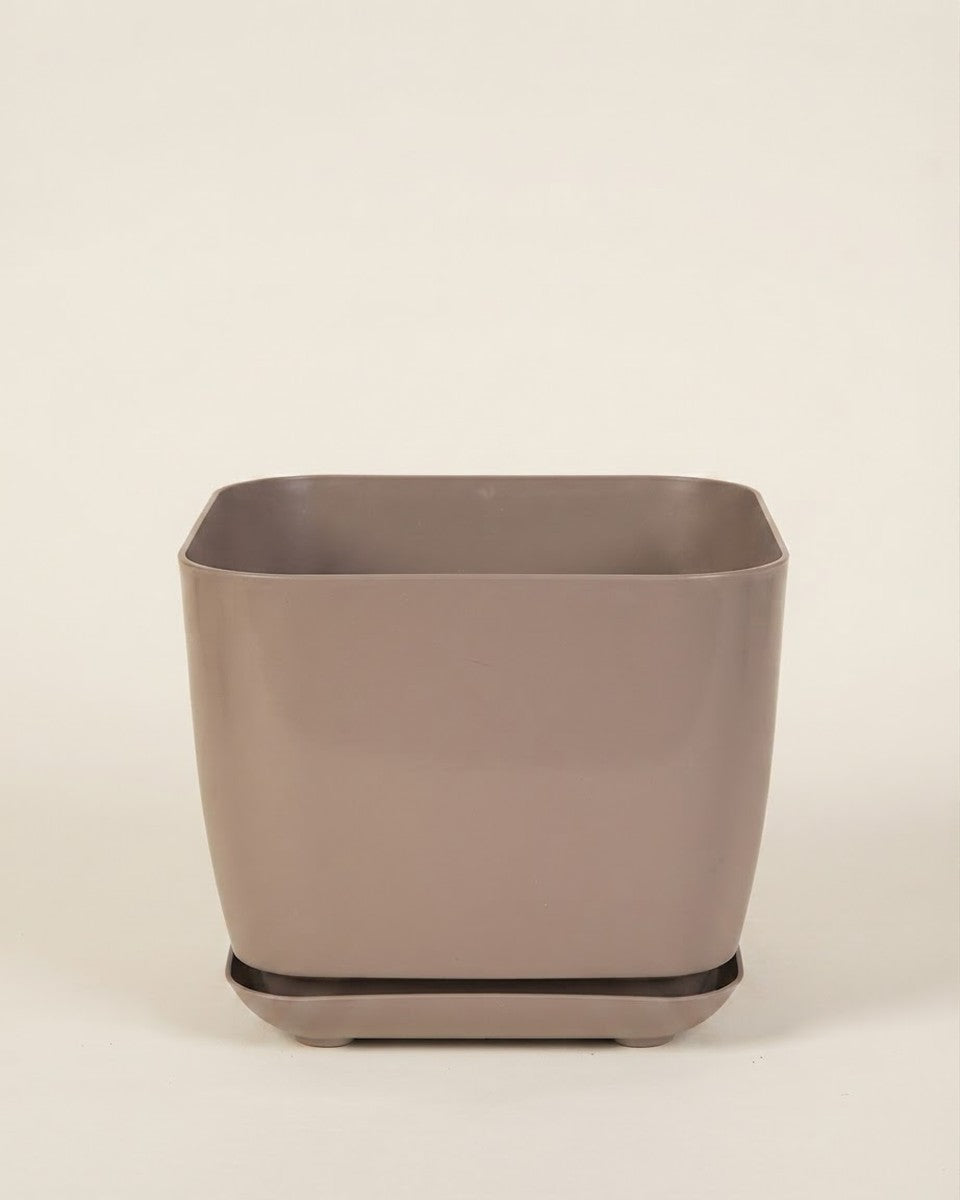 Novelty 6 In. H X 12 In. W X 12 In. D Plastic Majestic Large Garden Garden Planter Taupe حوض نباتات