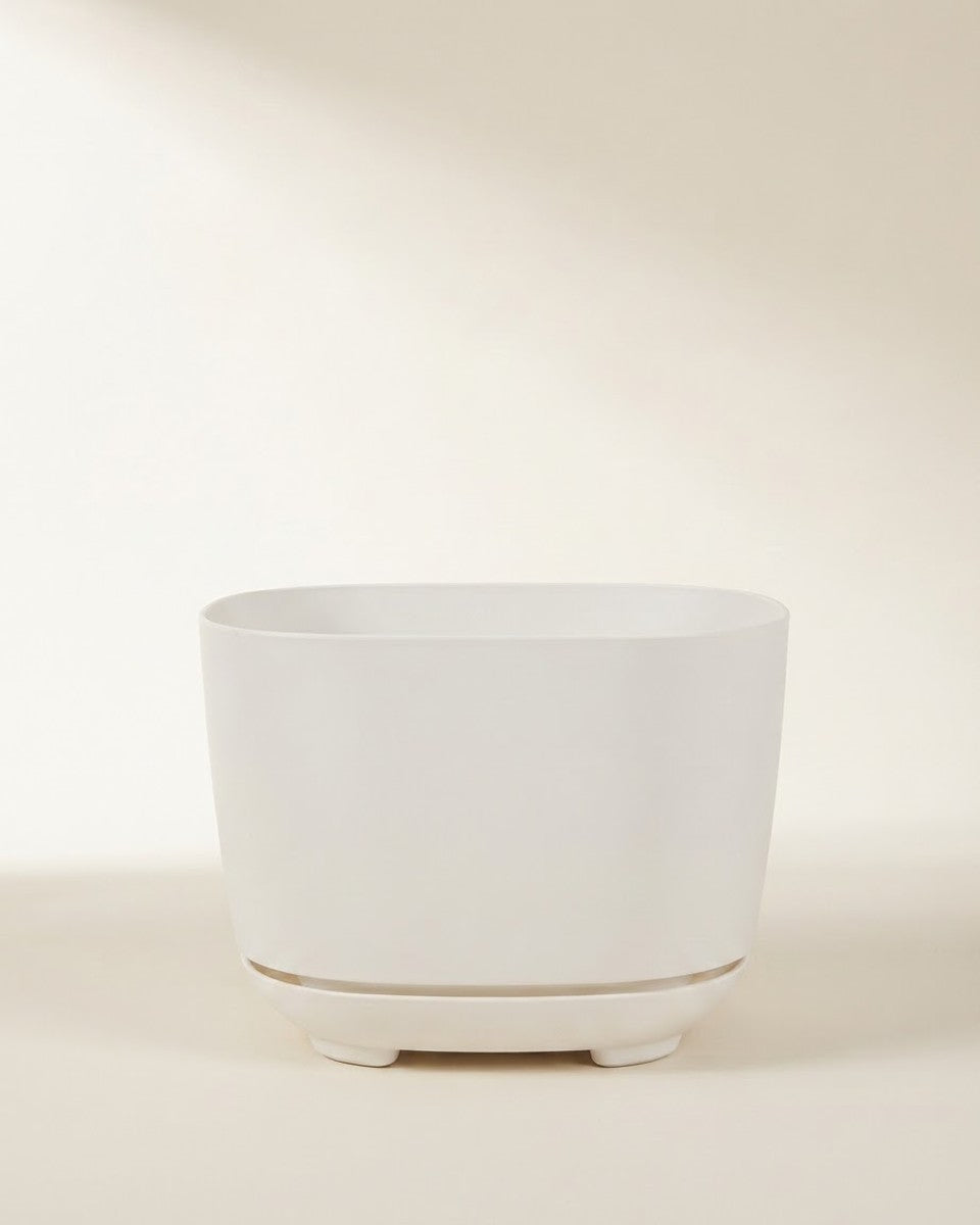 Novelty 6 In. H X 12 In. W X 12 In. D Plastic Majestic Large Garden Garden Planter White حوض نباتات