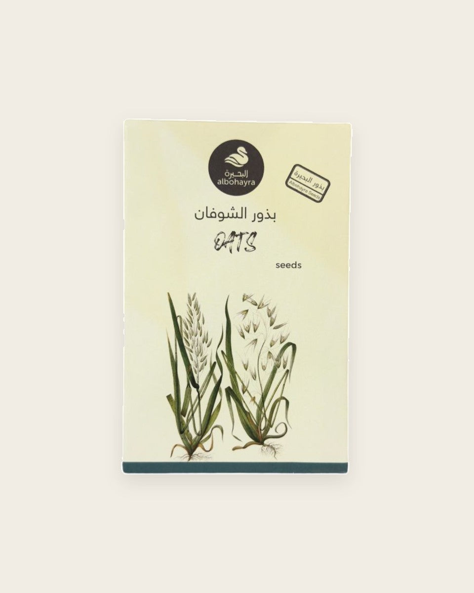 Oats Seeds بذور الشوفان
