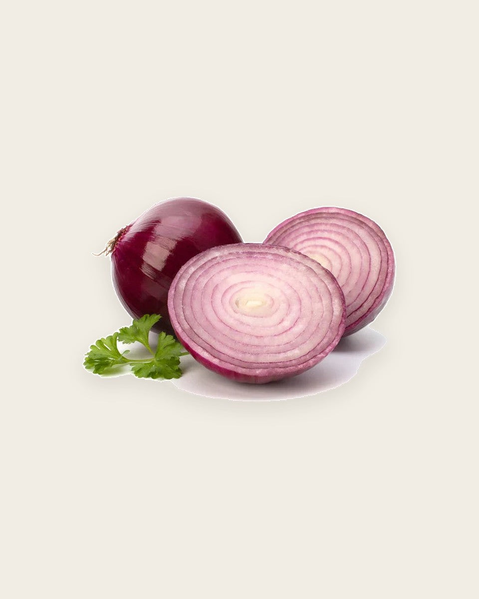 Onion Red Seeds بذور البصل