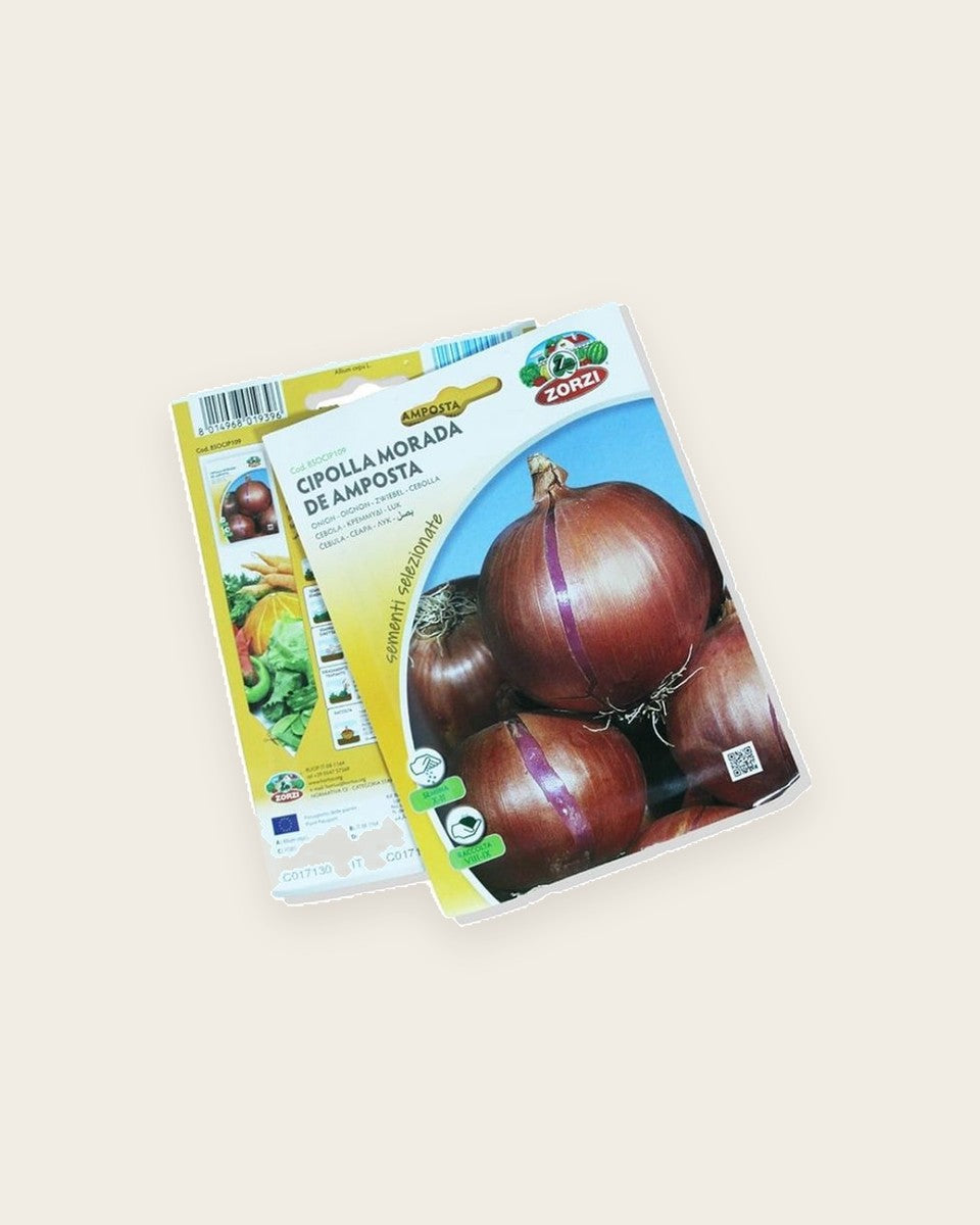 Onion Seeds