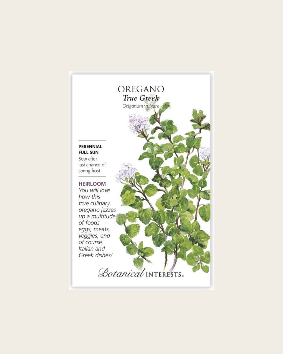 Oregano, True Greek Oregano Seeds – Heirloom أوريغانو