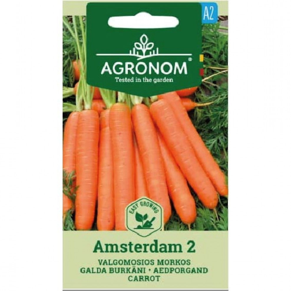 Carrot Seeds Amsterdam Long - supplier photo