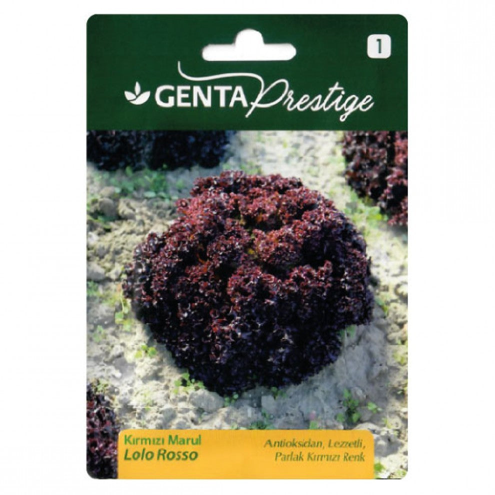 Lettuce Seeds Turkish Lollo Rosso - supplier photo
